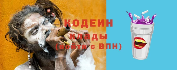 спиды Гусев