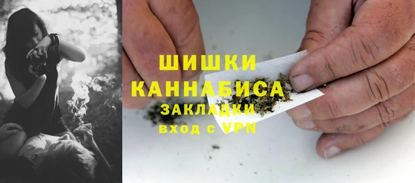спиды Гусев