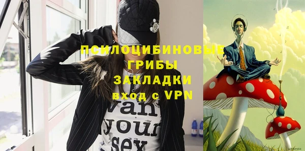 мяу мяу мука Гусиноозёрск