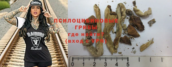 спиды Гусев