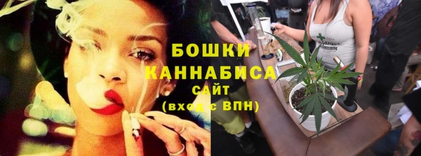 спиды Гусев